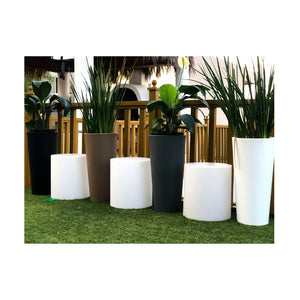 Maceta Redonda Ficus 60 Negro