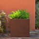 Maceta cuadrada Narciso 40 Bronce